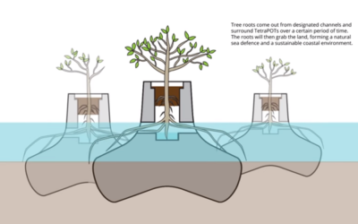 TetraPot : An eco-friendly anti-sea erosion method