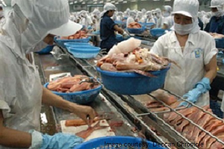 Fish processing
